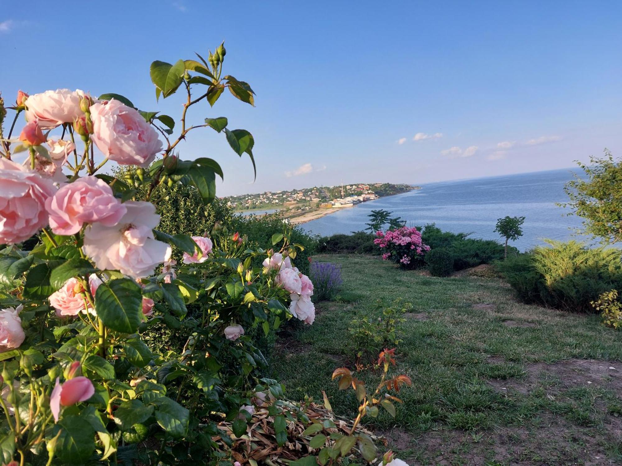 Villa Lavanda Vapnjarka Exteriör bild